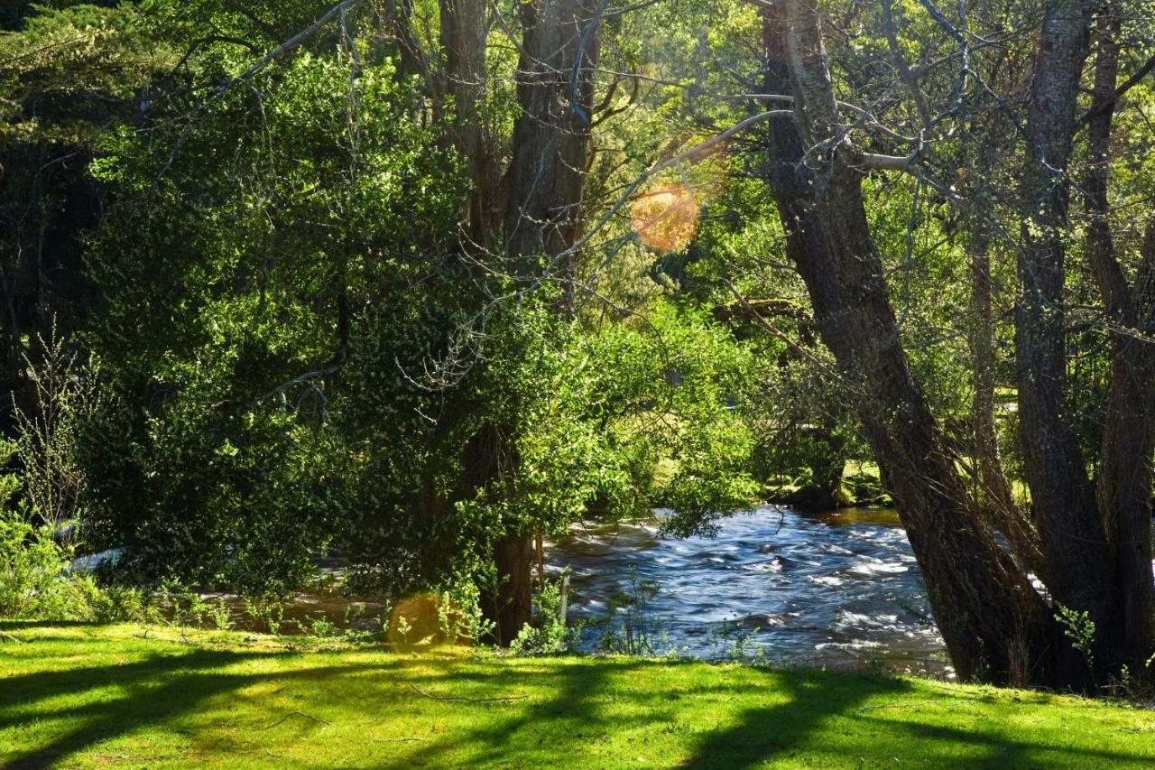 Russell Falls Holiday Cottages National Park Luaran gambar