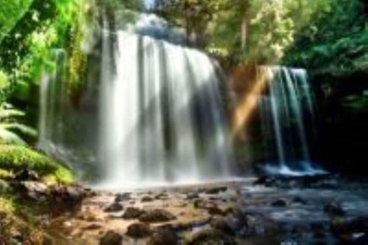 Russell Falls Holiday Cottages National Park Luaran gambar