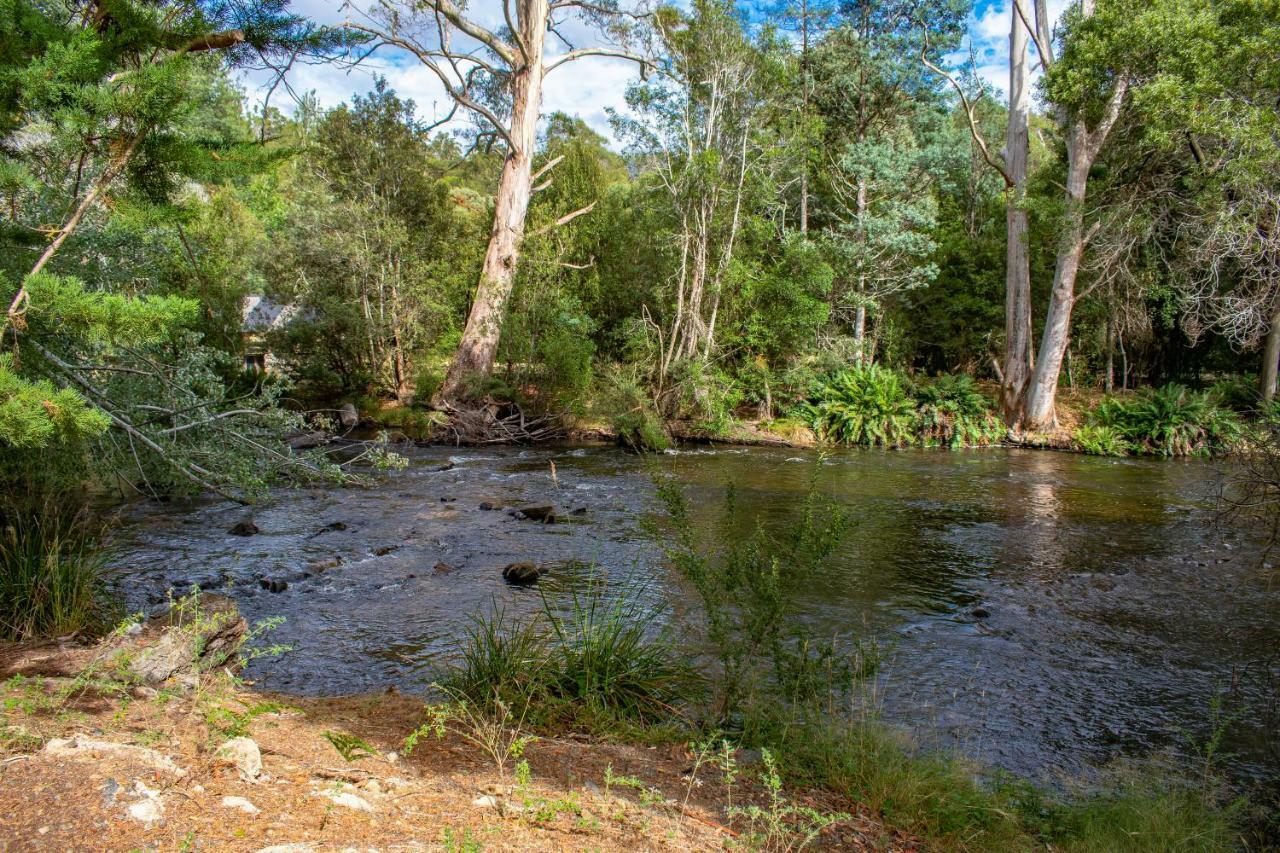 Russell Falls Holiday Cottages National Park Luaran gambar